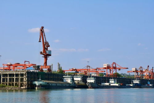 奮戰紅五月，瀘州水運吹響發展進軍號 碼頭建設與管理并舉，激活長江上游黃金水道